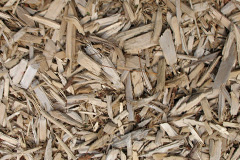 biomass boilers Sapley